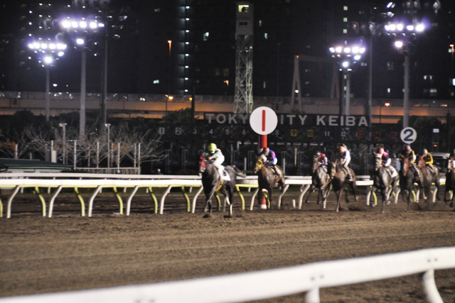 東京シティ競馬