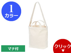 218743 キャンバス2WAYバッグ