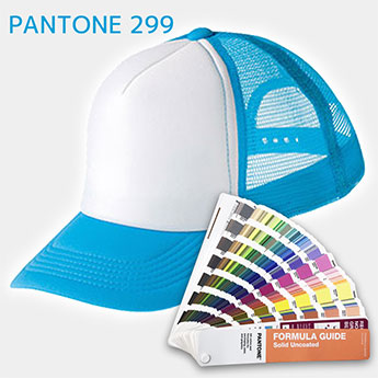 PANTONE 299