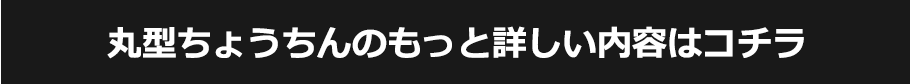 長型ちょうちんのもっと詳しい内容はコチラ