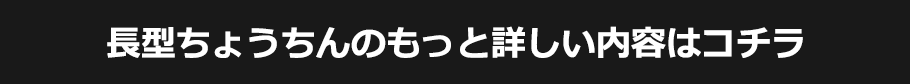 長型ちょうちんのもっと詳しい内容はコチラ