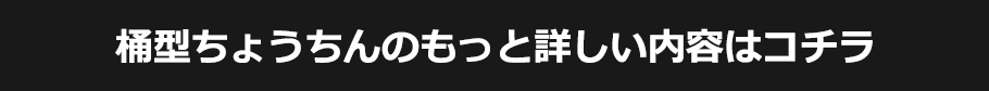 桶型ちょうちんのもっと詳しい内容はコチラ