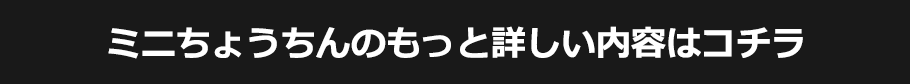 ミニちょうちんのもっと詳しい内容はコチラ