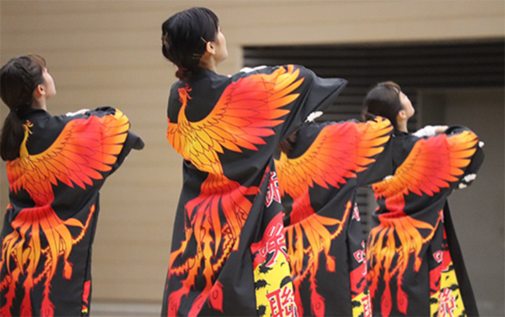 大学の応援団員の学生様の実績：背中に大きな鳳凰のイラスト