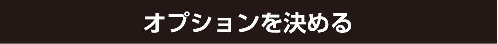 オプションを決める