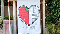 いちごらんど中西様