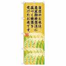 当店のお米は、農産物検査法に基づく検査を受けたお米です【SNB-955】