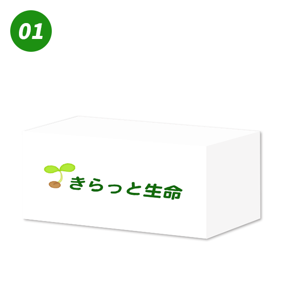 シンプルタイプのデザイン1
