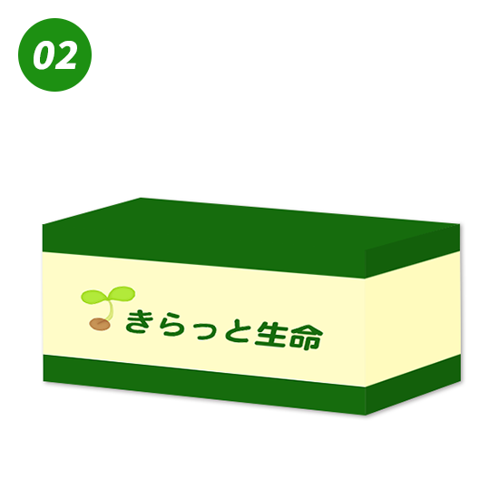 シンプルタイプのデザイン2